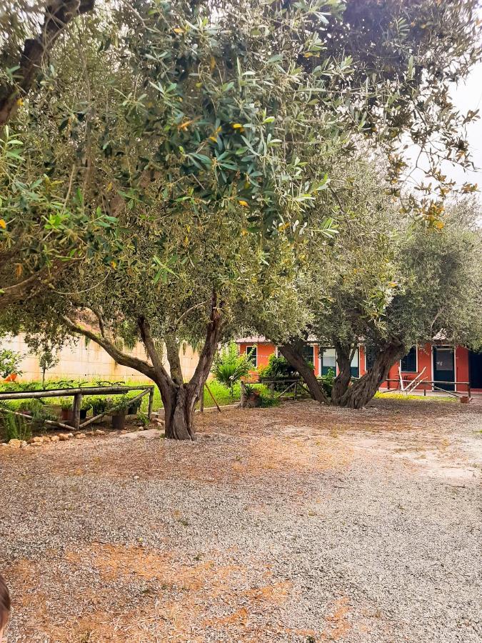 Locanda Adele Parghelia Buitenkant foto